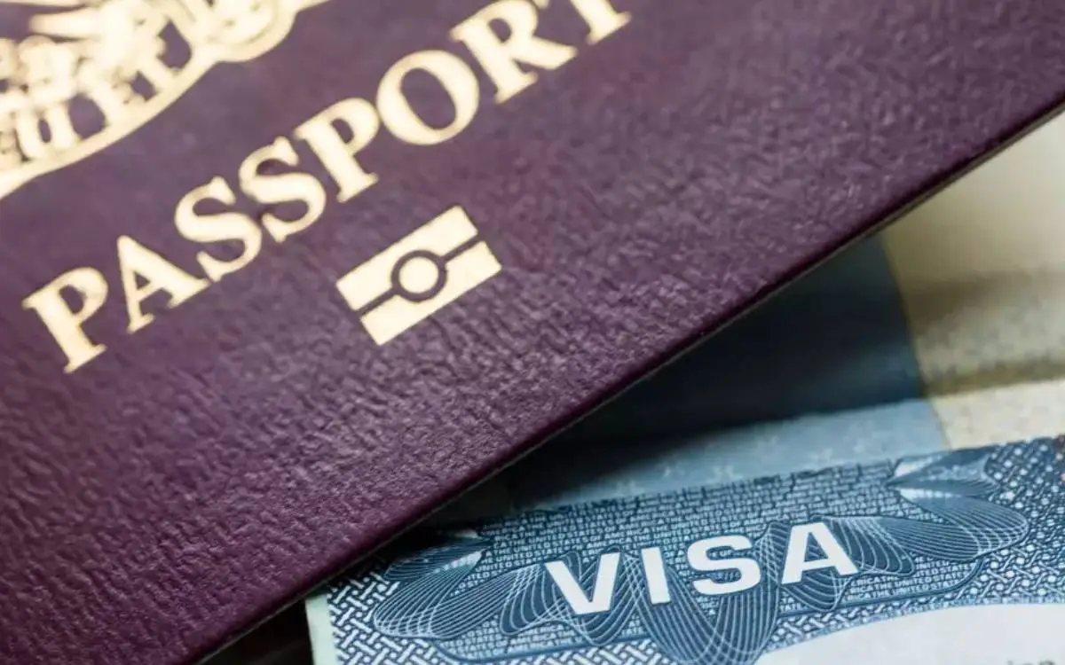 Illustrative image of fake visa websites