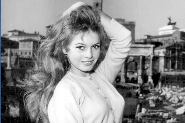 Brigitte Bardot cinema career