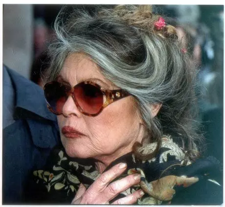 Brigitte Bardot cultural icon